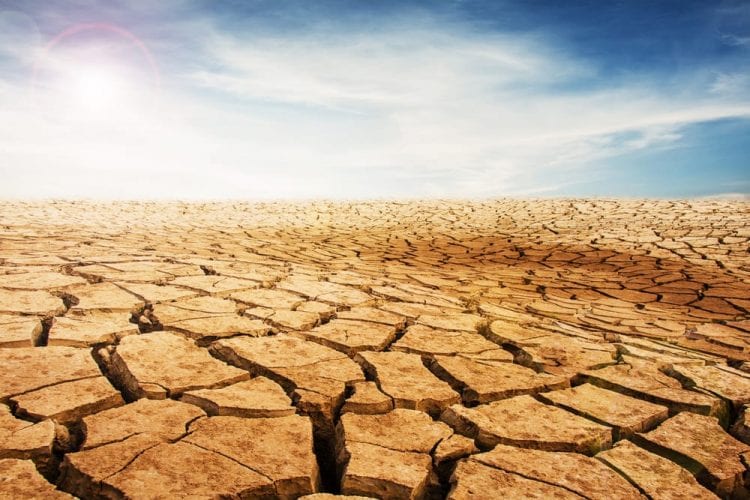Desierto