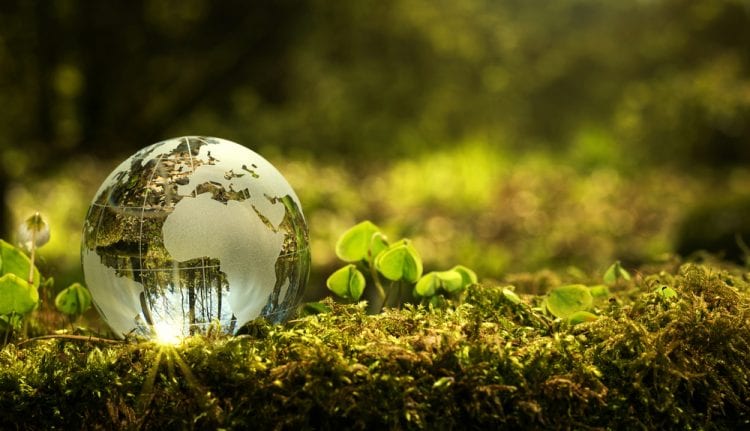 Premios Europeos de Medio Ambiente a la Empresa Premios Europeos de Medio Ambiente a la Empresa