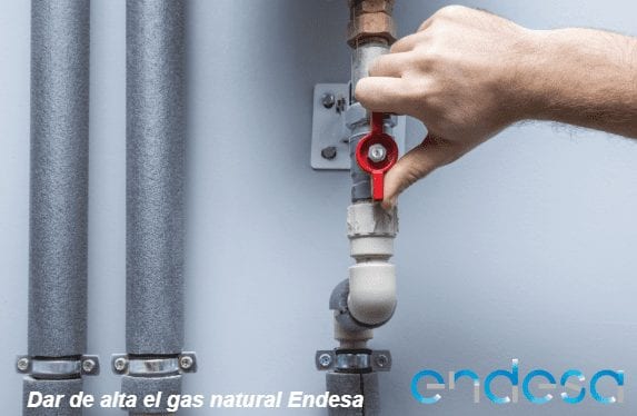 dar de alta el gas Endesa dar de alta el gas Endesa