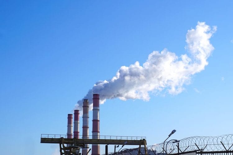 Endesa comienzas las pruebas con biocombustibles Endesa comienzas las pruebas con biocombustibles